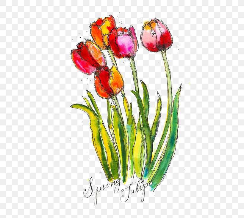 Tulip Watercolour Flowers Watercolor Painting, PNG, 564x730px, Tulip, Art, Canvas, Cut Flowers, Drawing Download Free