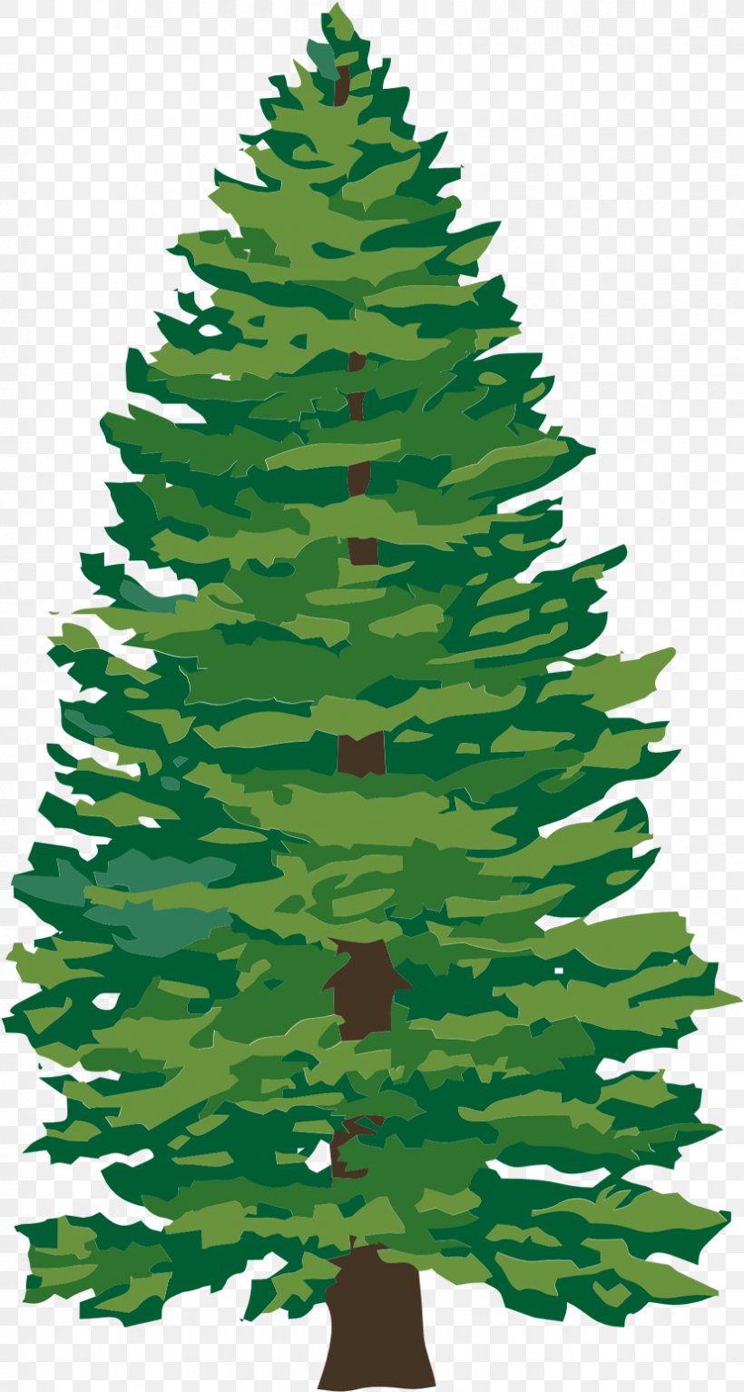 Christmas Tree Tree Stump Christmas Day Spruce, PNG, 828x1548px, Christmas Tree, American Larch, Balsam Fir, Biome, Canadian Fir Download Free