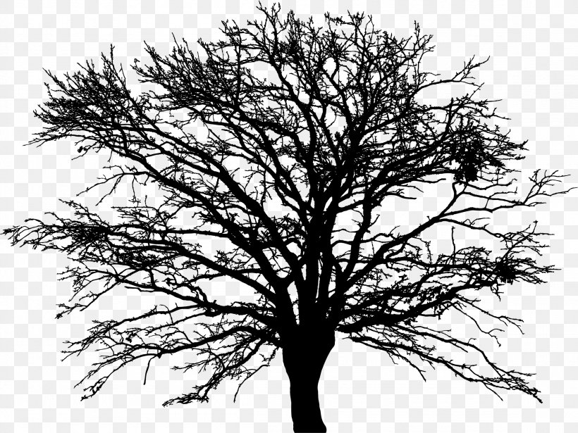 Drawing Desktop Wallpaper Clip Art, PNG, 2308x1732px, Drawing, Art, Black And White, Branch, Merkle Tree Download Free