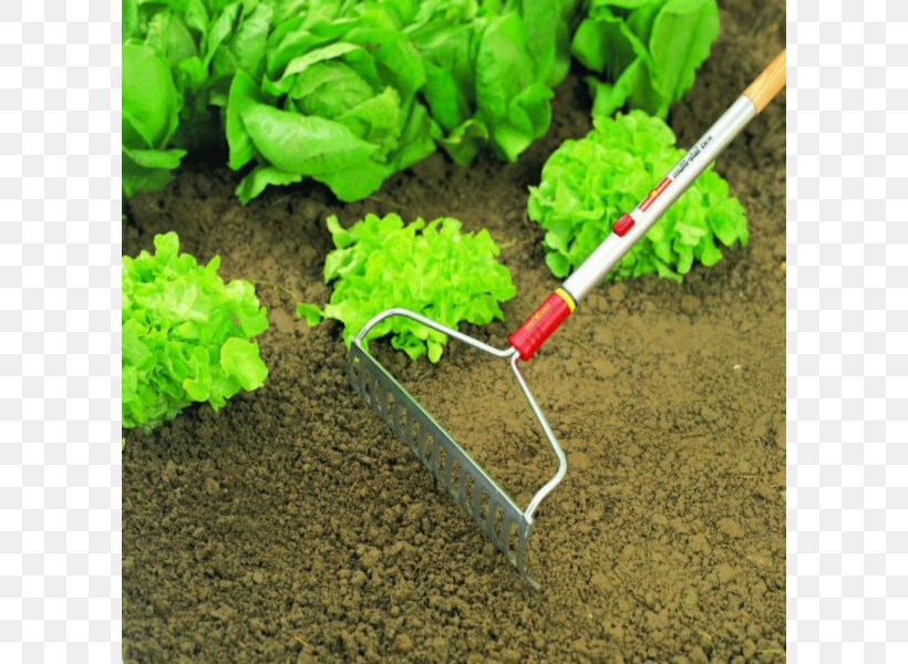 Lawn Garden Záhradné Heureka.sk Rake, PNG, 800x600px, Lawn, Garden, Grass, Handle, Herb Download Free