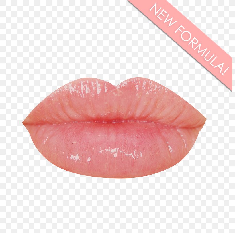 Lip Gloss Lip Balm Lipstick Glitter, PNG, 800x814px, Lip Gloss, Glitter, Lip, Lip Balm, Lipstick Download Free