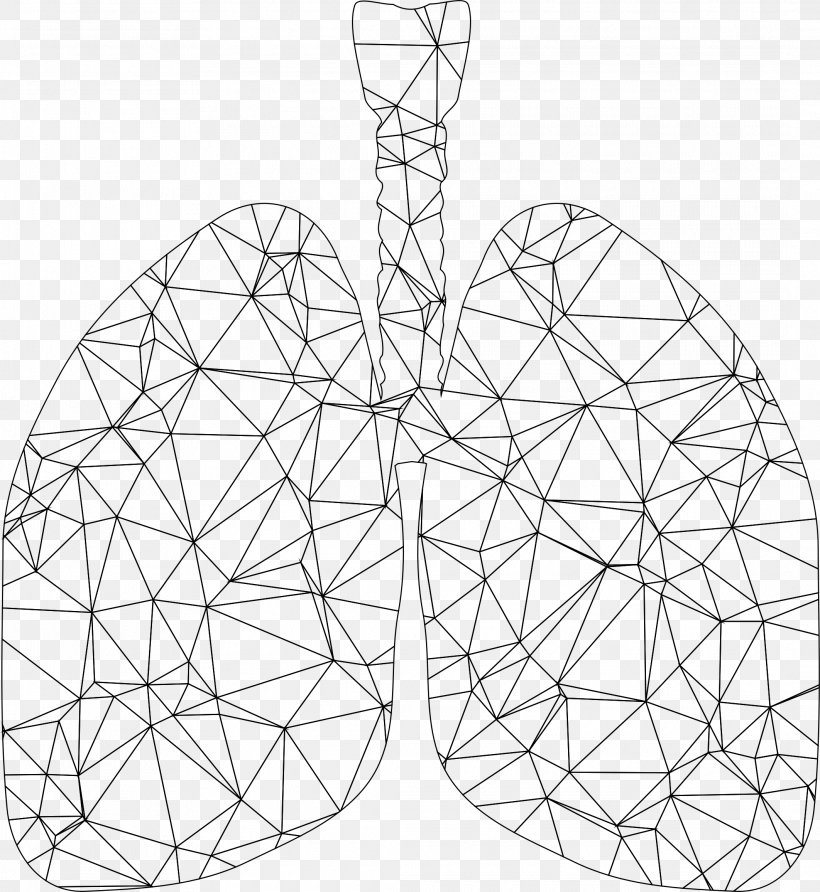 Lung Triangle Polygon, PNG, 2125x2314px, Lung, Area, Black And White, Drawing, Heart Download Free