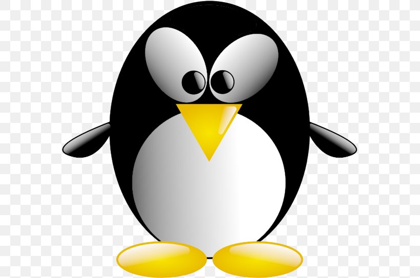 Penguin Bird Tux Racer Antarctica, PNG, 577x543px, Penguin, Antarctica, Beak, Bird, Emperor Penguin Download Free