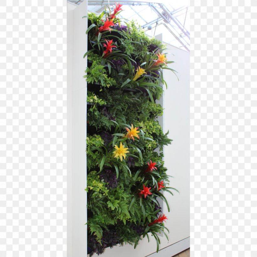 Plant Flora Green Wall Flower Office, PNG, 1000x1000px, Plant, Desktop Computers, Evergreen, Fern, Flora Download Free