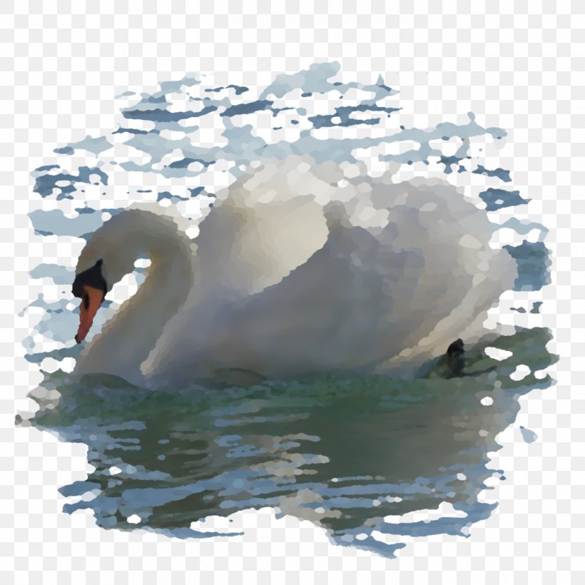 Cygnini Duck Water Beak Seabird, PNG, 1400x1400px, Cygnini, Beak, Bird, Duck, Ducks Geese And Swans Download Free