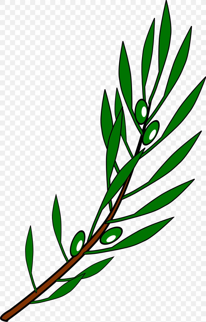 Olive Branch Mediterranean Cuisine Clip Art, PNG, 2000x3130px, Olive Branch, Artwork, Branch, Drawing, Flora Download Free