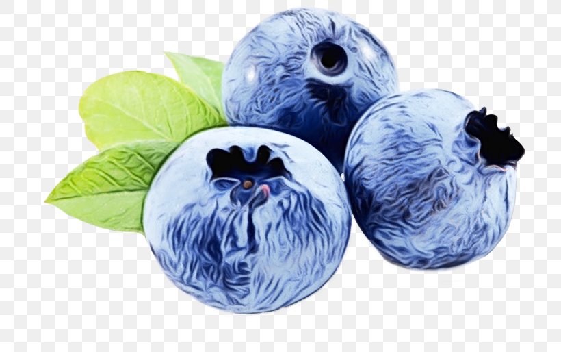 Blueberry Transparency Bilberry Periorbital Puffiness Food, PNG, 750x514px, Watercolor, Bilberry, Blueberry, Food, Fruit Download Free