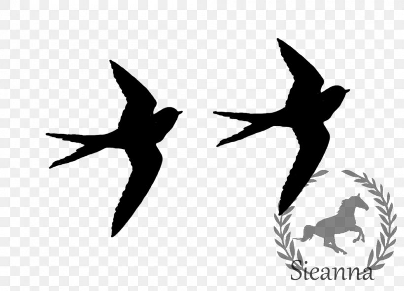 Common Blackbird Drawing Art Clip Art, PNG, 1053x758px, Bird, Art, Art Museum, Beak, Black And White Download Free