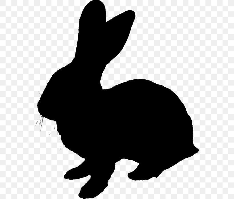 Domestic Rabbit Hare Dog Whiskers Black & White, PNG, 575x698px, Domestic Rabbit, Black M, Black White M, Blackandwhite, Canidae Download Free