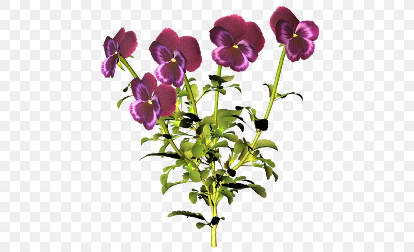 Pansy Wildflower Cut Flowers Information, PNG, 500x500px, Pansy, Branch, Cut Flowers, Flora, Flower Download Free