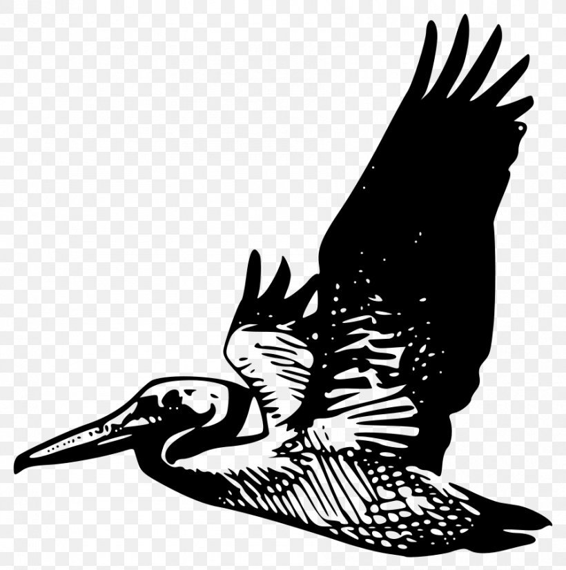 Pelican Clip Art, PNG, 893x900px, Pelican, Beak, Bird, Bird Of Prey, Black And White Download Free