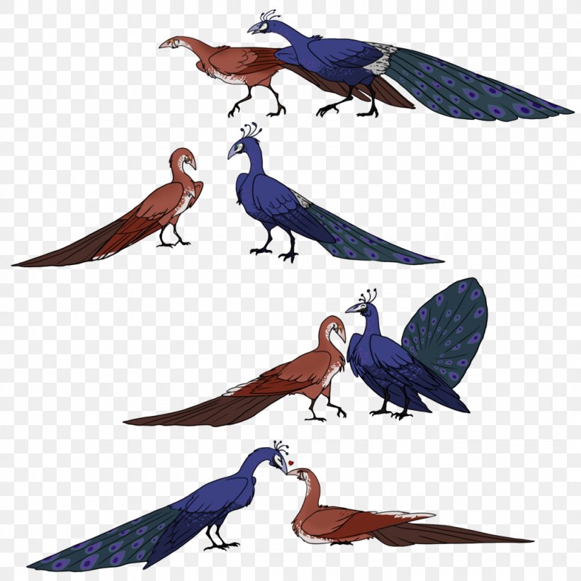 Bird Parrot Macaw Beak Feather, PNG, 1024x1024px, Bird, Animal, Beak, Fauna, Feather Download Free