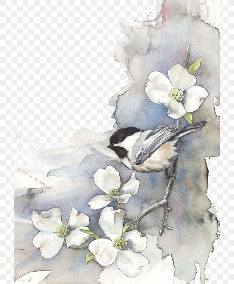 Bird Watercolor Painting Drawing Art, PNG, 720x994px, Bird, Art, Artist, Belted Kingfisher, Blossom Download Free