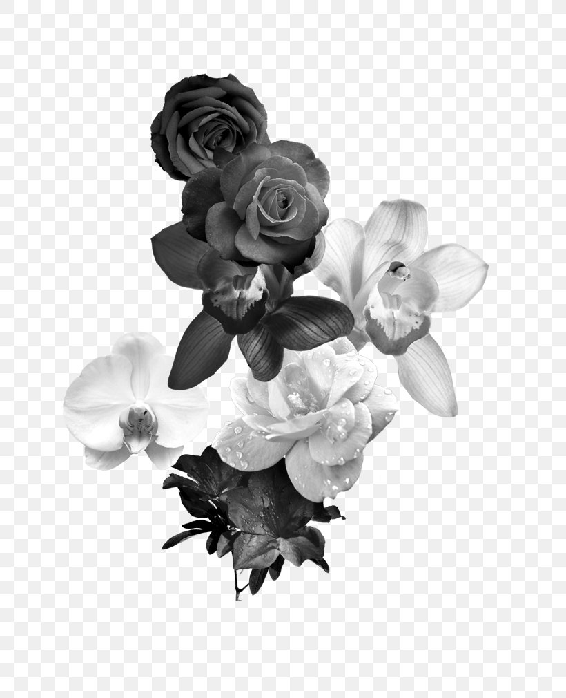 Black And White Flower Monochrome Photography, PNG, 640x1010px, Black And White, Black, Cut Flowers, Flower, Garden Roses Download Free