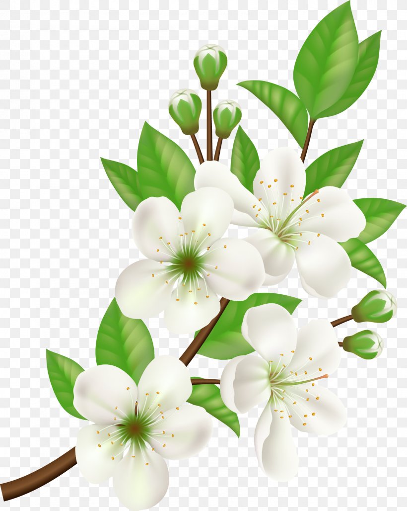 Royalty-free Flower, PNG, 1479x1855px, Royaltyfree, Blossom, Branch, Cut Flowers, Floral Design Download Free