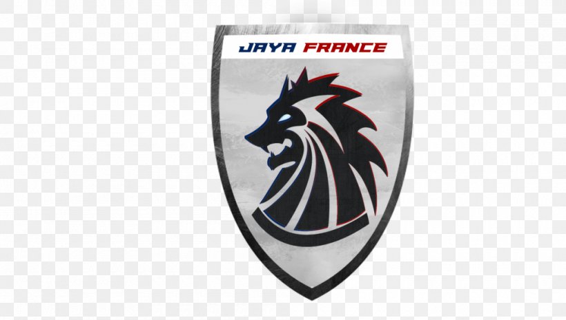 Logo Brand France Font, PNG, 1000x568px, Logo, Brand, Emblem, Flash, France Download Free