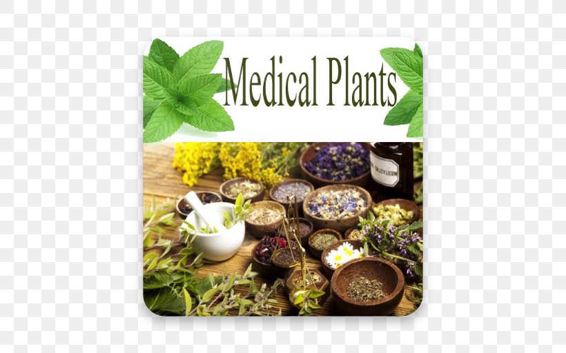 Medicine Medicinal Plants Alternative Health Services Herbalism, PNG, 512x512px, Medicine, Alternative Health Services, Ayurveda, Disease, Doctor Of Medicine Download Free