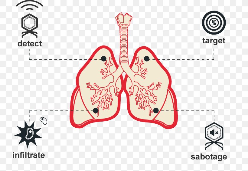 Mycobacterium Tuberculosis International Genetically Engineered Machine Protective Factor Health, PNG, 795x564px, Watercolor, Cartoon, Flower, Frame, Heart Download Free