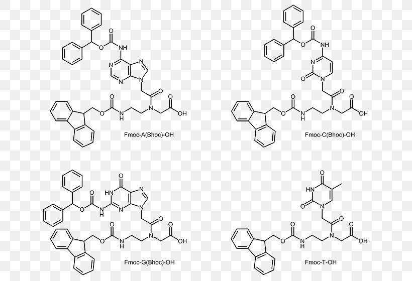 Peptide Nucleic Acid Oligonucleotide Oligomer A-DNA, PNG, 649x560px, Peptide Nucleic Acid, Adna, Area, Auto Part, Black And White Download Free