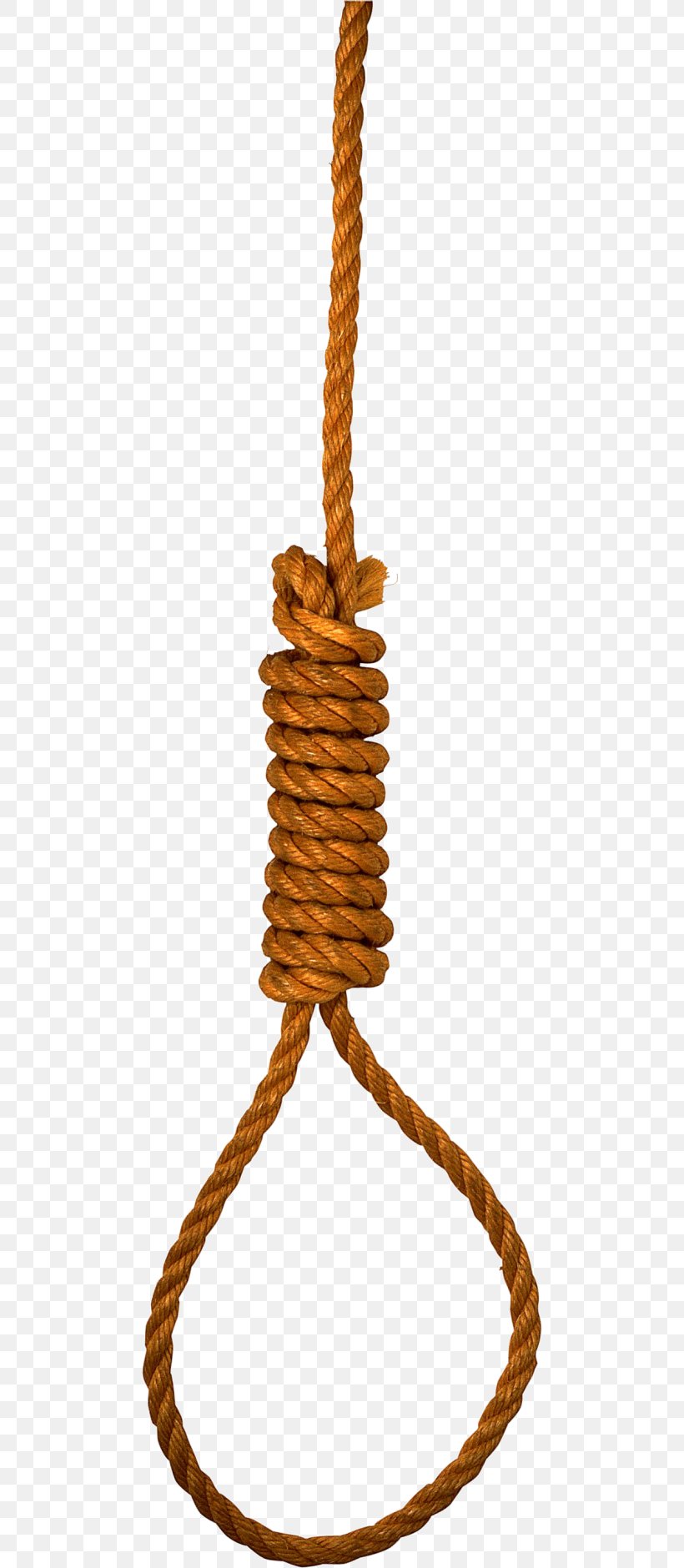 Clip Art Image Transparency Psd, PNG, 480x1880px, Rope, Hanging, Information, Suicide By Hanging Download Free