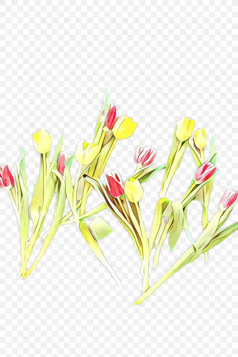 Flowers Background, PNG, 1632x2448px, Cartoon, Artificial Flower, Bud, Candy Cane Sorrel, Cut Flowers Download Free