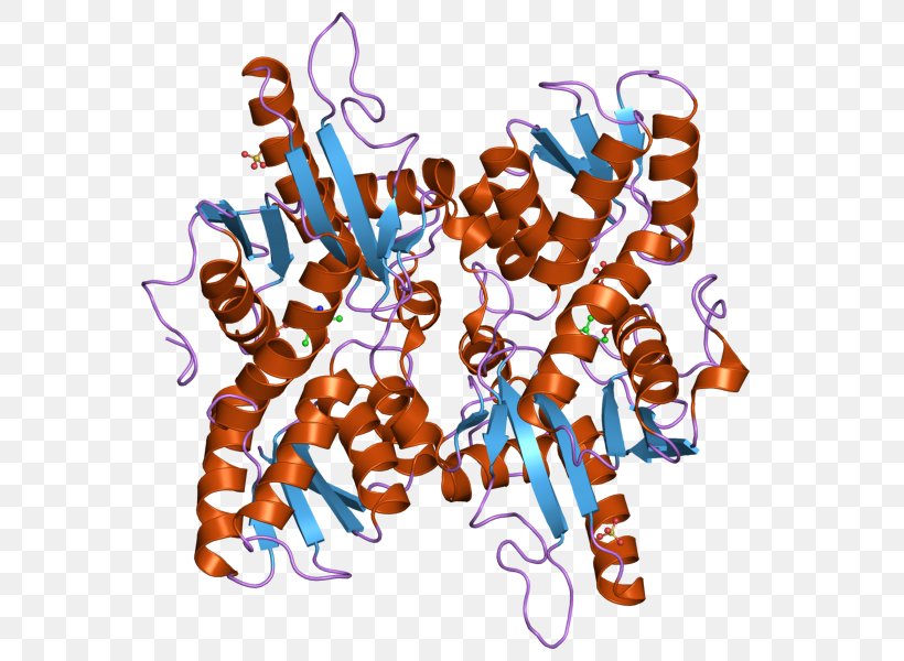 Histidinol Dehydrogenase Prenyltransferase Enzyme Protein Catalysis, PNG, 800x600px, Prenyltransferase, Art, Catalysis, Cell Membrane, Dehydrogenase Download Free