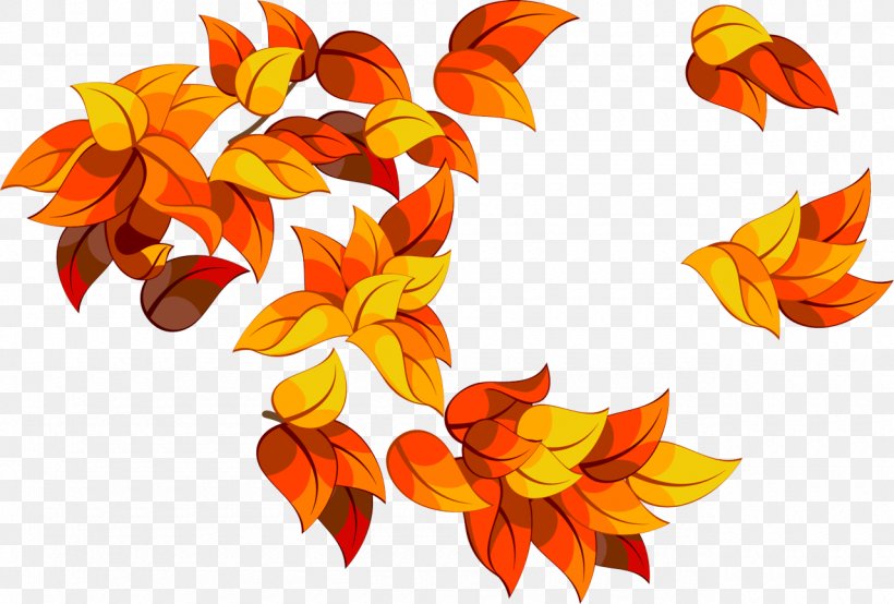 Orange, PNG, 1280x865px, Orange, Cut Flowers, Flower, Leaf, Plant Download Free