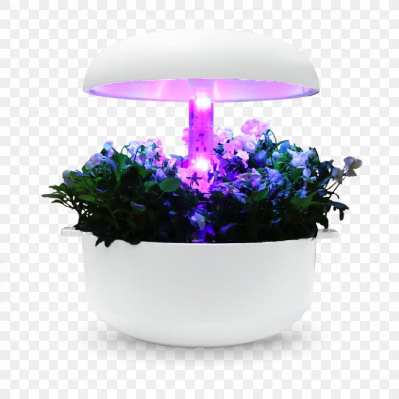 Plant Flowerpot Garden Office Food .de, PNG, 844x845px, Plant, Bonsai, Com, Cultivo, Flowerpot Download Free