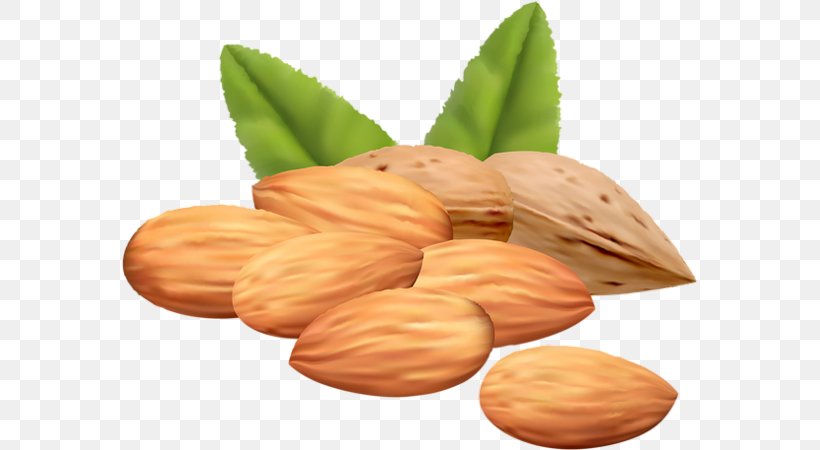 Mixed Nuts Almond Clip Art, PNG, 575x450px, Nut, Acorn, Almond, Commodity, Food Download Free