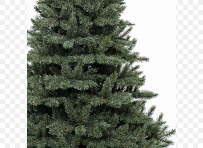 Artificial Christmas Tree Blue, PNG, 800x600px, Christmas Tree, Artificial Christmas Tree, Biome, Blue, Christmas Download Free
