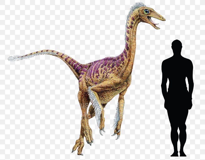 Dromiceiomimus Dinosaur Late Cretaceous Velociraptor, PNG, 792x643px, Dinosaur, Animal, Animal Figure, Chalk, Cretaceous Download Free