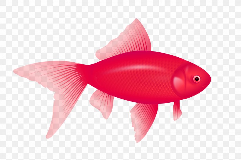 One Fish, Two Fish, Red Fish, Blue Fish Clip Art, PNG, 1969x1307px, Fish, Bony Fish, Image File Formats, Orange, Pink Download Free