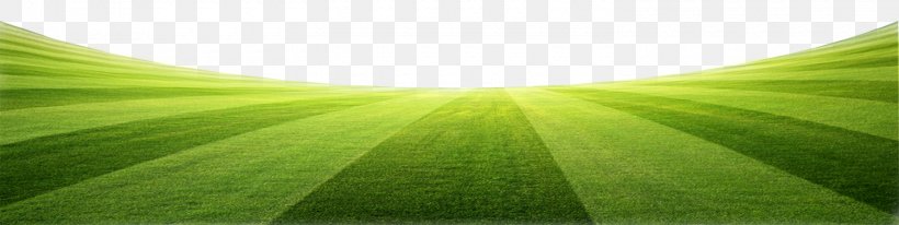 Leaf Green, PNG, 1500x378px, Leaf, Grass, Green, Plant Download Free