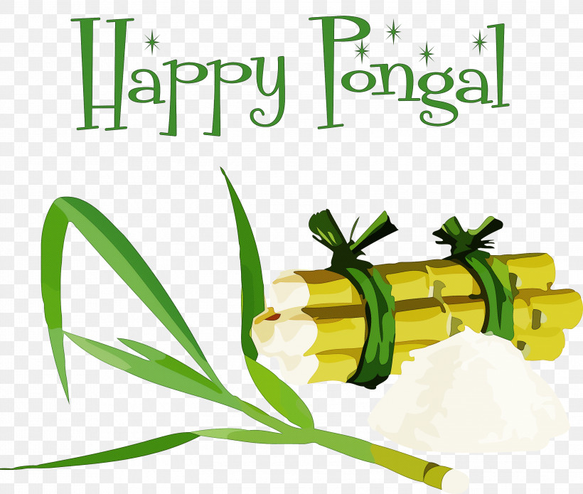 Pongal Thai Pongal Harvest Festival, PNG, 2999x2542px, Pongal, Carrot, Fruit, Granulated Sugar, Harvest Festival Download Free