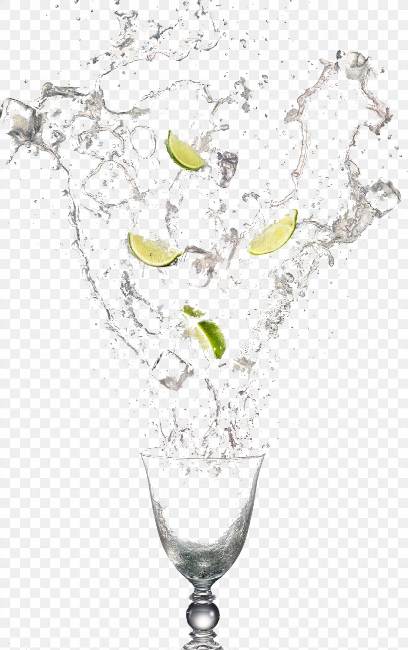 Water Download Computer File, PNG, 1080x1720px, Water, Branch, Champagne Stemware, Drinkware, Glass Download Free