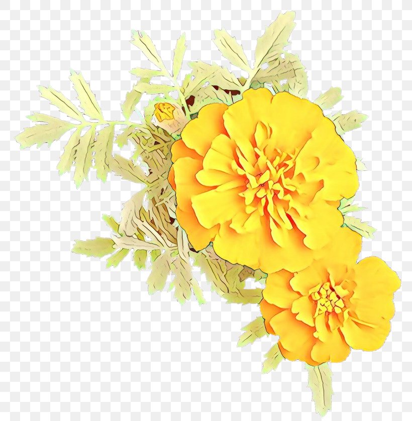 Yellow Flower Tagetes Petal Plant, PNG, 800x838px, Cartoon, Cut Flowers, English Marigold, Flower, Flowering Plant Download Free