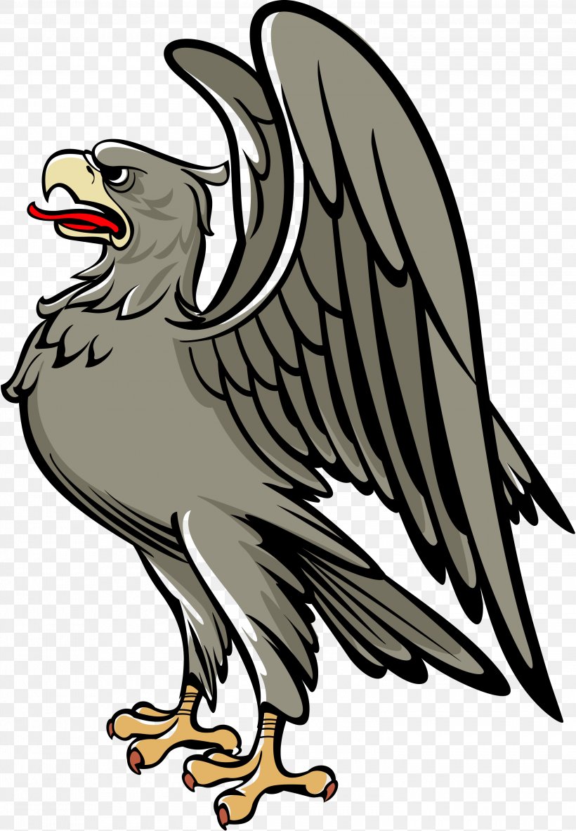 Bird Middle Ages Eagle Coat Of Arms Heraldry, PNG, 3000x4325px, Bird, Artwork, Bald Eagle, Beak, Bird Of Prey Download Free