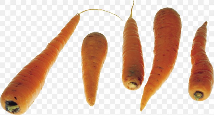 Carrot Vegetable, PNG, 3001x1620px, Carrot, Daucus, Daucus Carota, Food, Image Resolution Download Free