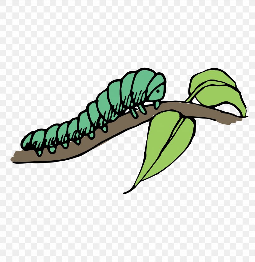 Caterpillar Clip Art, PNG, 2480x2542px, Caterpillar, Art, Blue, Branch, Claw Download Free