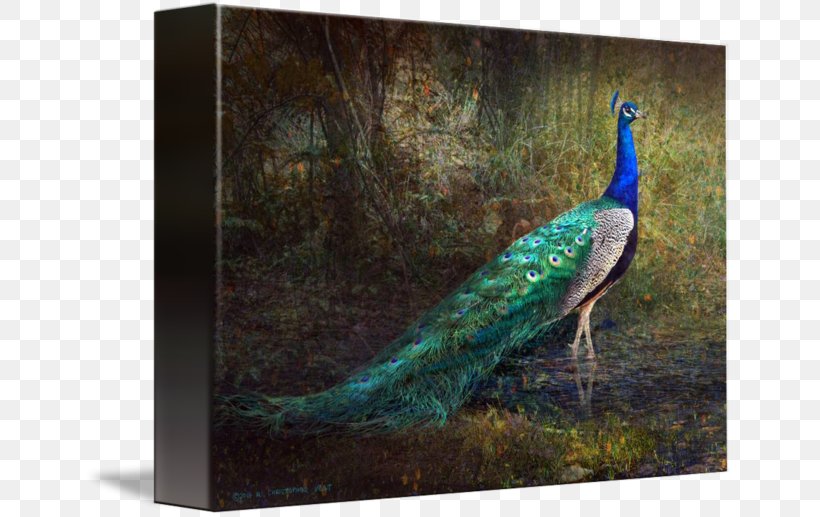 Painting Art Canvas Print Pavo Portrait, PNG, 650x517px, Painting, Art, Art Museum, Asiatic Peafowl, Beak Download Free