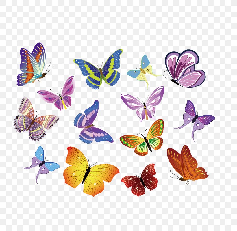 Royalty-free Euclidean Vector Clip Art, PNG, 800x800px, Royaltyfree, Art, Brush Footed Butterfly, Butterfly, Flower Download Free