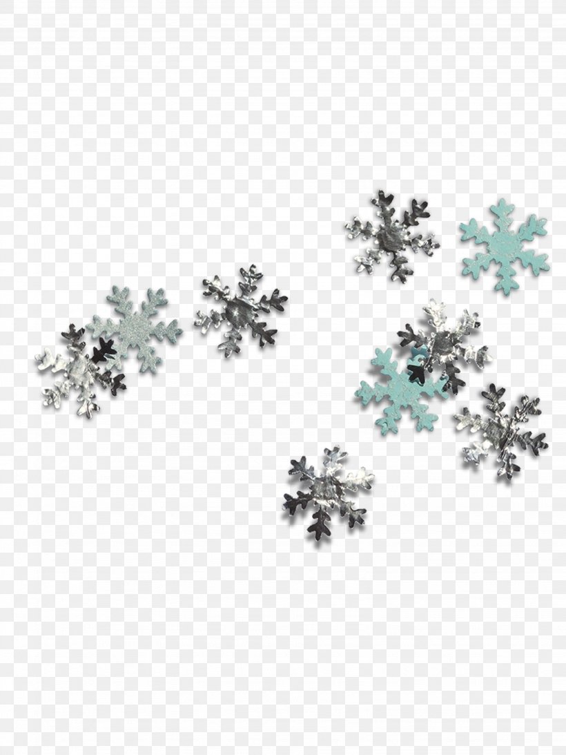 Snowflake Schema, PNG, 3072x4097px, Snowflake Schema, Body Jewelry, Chart, Jewellery, Snow Download Free