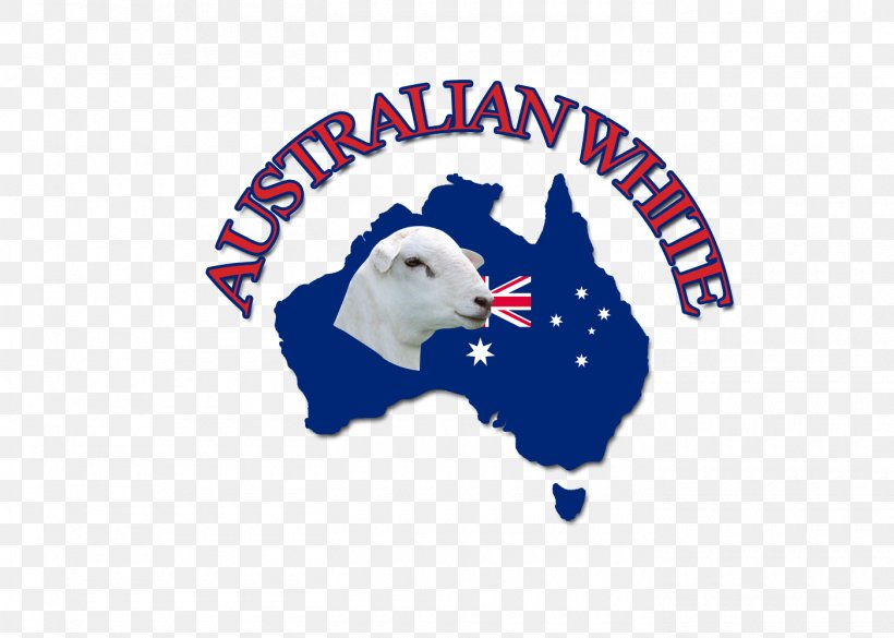 Australian White Sheep Wiltipoll Merino Dorper Breed, PNG, 1400x1000px, Australian White Sheep, Australia, Big Merino, Brand, Breed Download Free