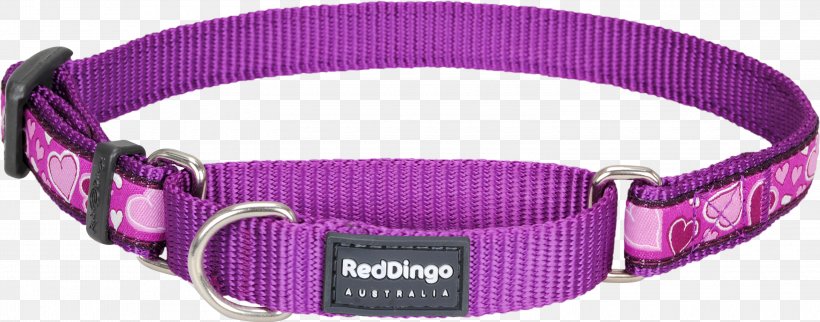 Dog Collar Martingale Pet Tag, PNG, 3000x1180px, Dog, Chain, Choker, Collar, Daisy Chain Download Free