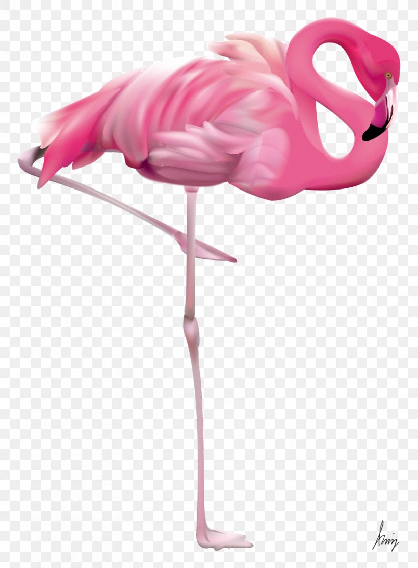 Flamingo Clip Art, PNG, 882x1197px, Flamingo, Bird, Button, Copying, Display Resolution Download Free