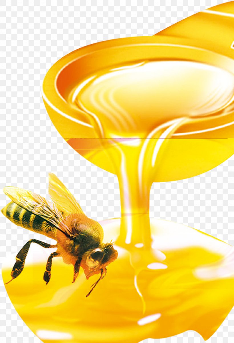 Honey Bee Organic Food Honey Bee Beehive, PNG, 1140x1669px, Bee, Bee Pollen, Bee Removal, Beehive, Food Download Free