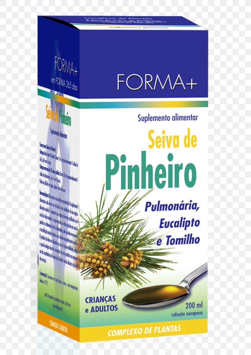 Pine Sap Plant Syrup Cough, PNG, 621x1160px, Pine, Cough, Eating, Grass, Gum Trees Download Free