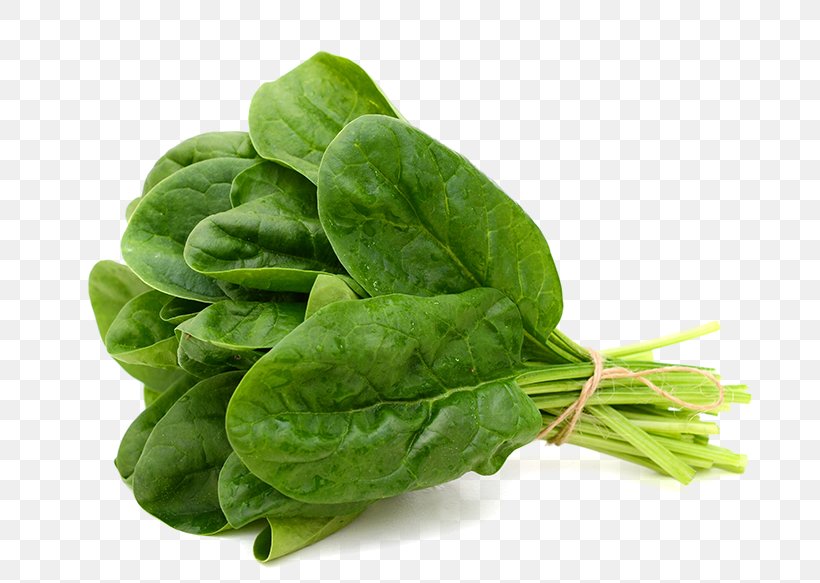 Spinach Leaf Vegetable Food Stock Photography, PNG, 800x583px, Spinach, Chard, Choy Sum, Collard Greens, Cruciferous Vegetables Download Free