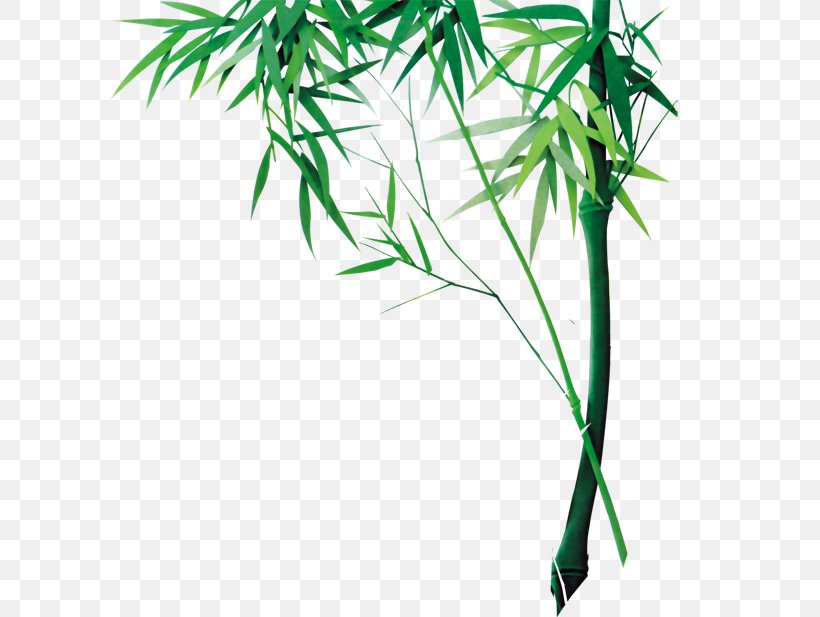 Bamboo Bamboe, PNG, 600x617px, Bamboo, Bamboe, Branch, Dumpling, Flowerpot Download Free