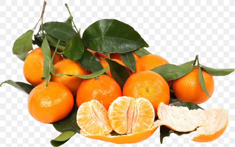 Clementine Mandarin Orange Tangerine Food, PNG, 1535x959px, Clementine, Bitter Orange, Calamondin, Chenpi, Chinese New Year Download Free